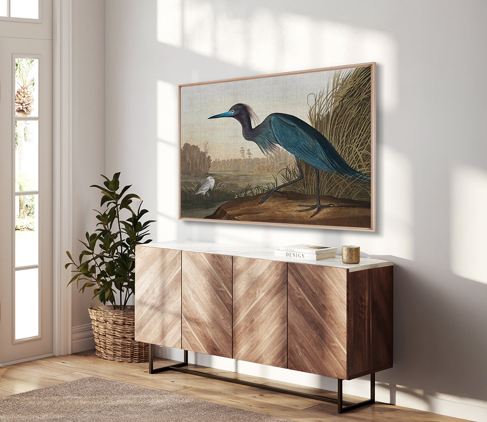 Exquisite Bird XI (Canvas)