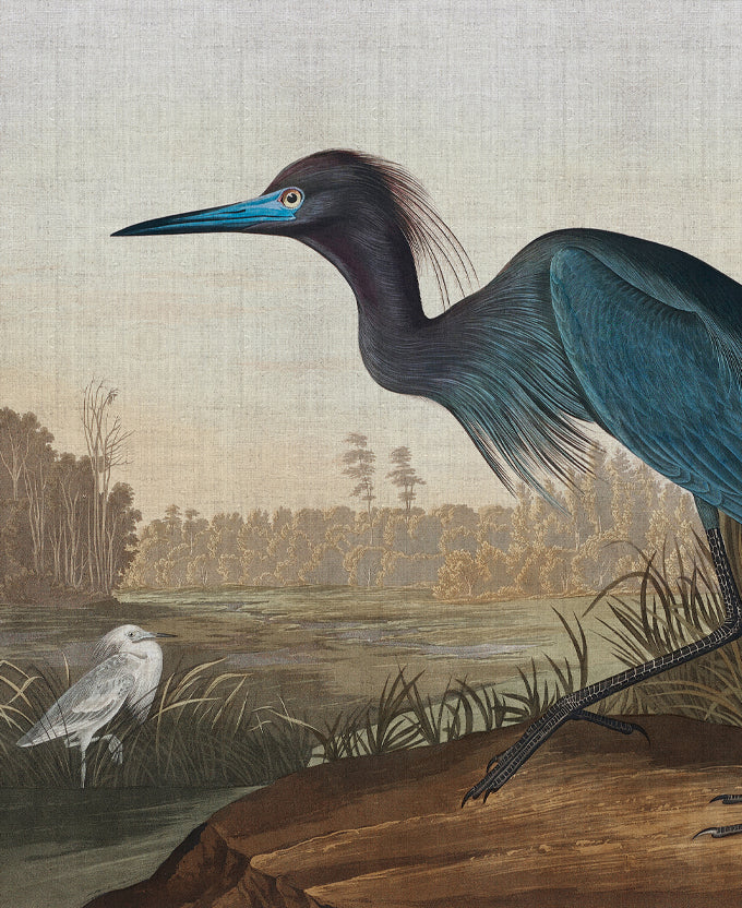 Exquisite Bird XI