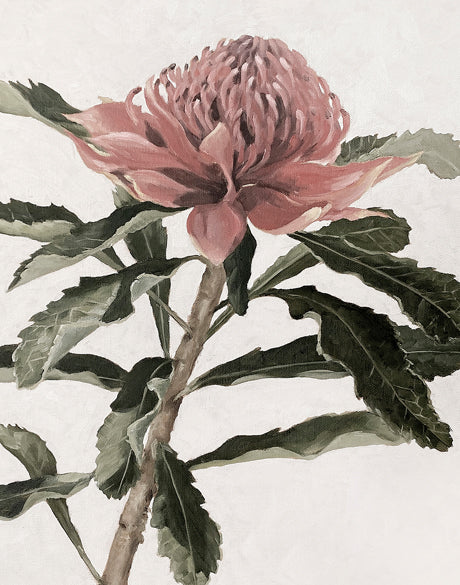 Native Bloom IV