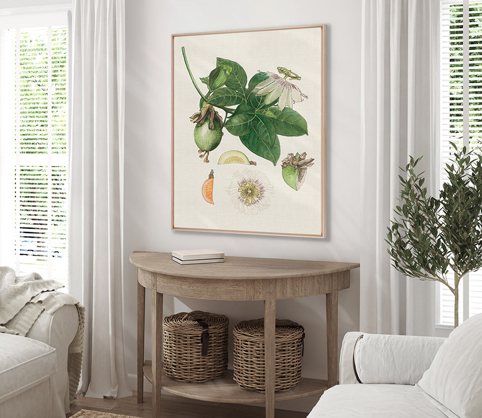 Classic Botanical Study I (Canvas)