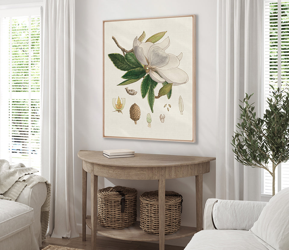 Classic Botanical Study II (Canvas)