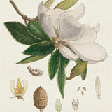 ave02_3
