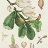 ave03-c_3