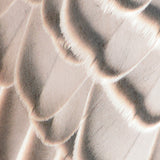 avile01_3