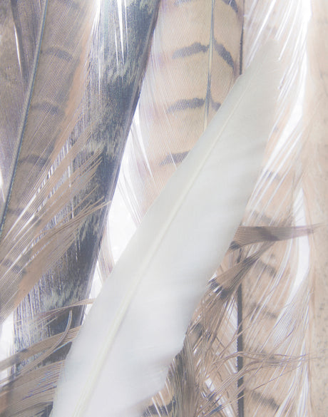 Aviles Feather II
