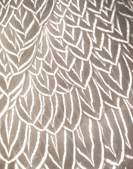 Aviles Feather V