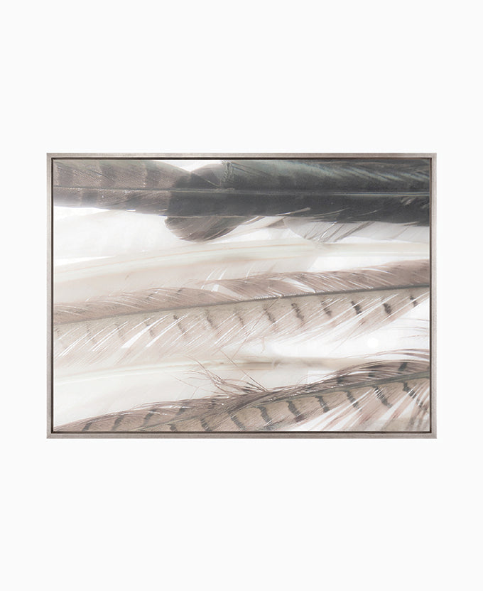 Aviles Feather VI (Canvas)
