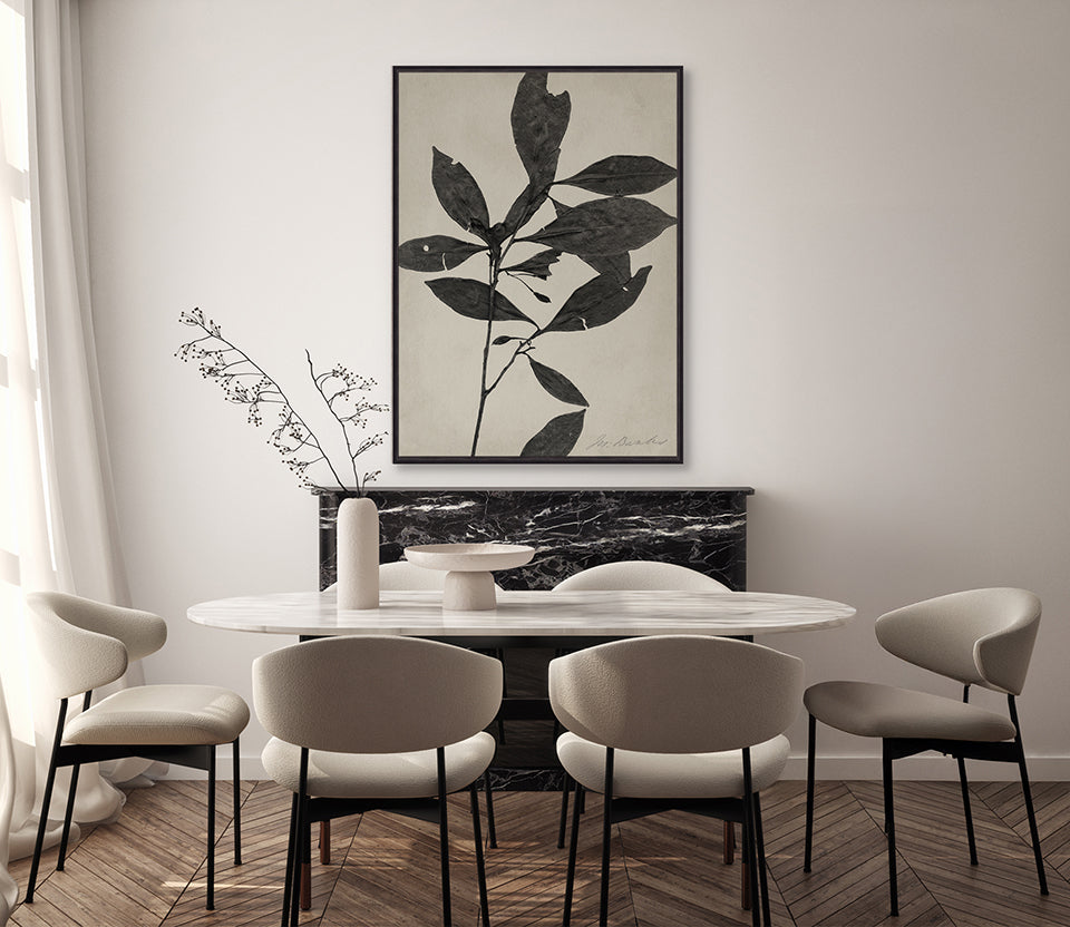 Endeavour Specimen I (Canvas)