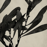banks03_3