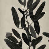 banks04-c_3
