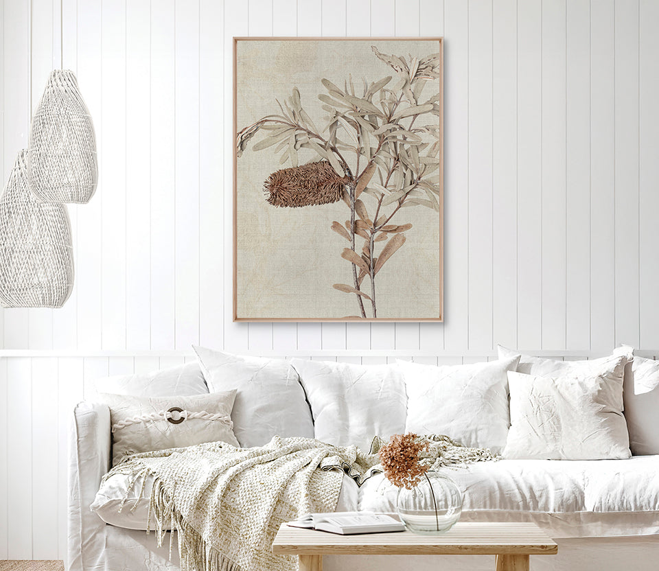 Banksia Study I (Canvas)