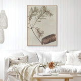 banksia02-c_2