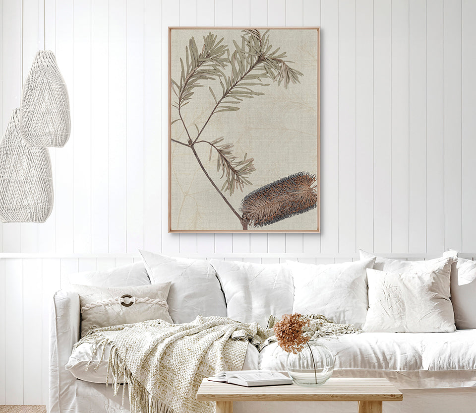 Banksia Study II (Canvas)