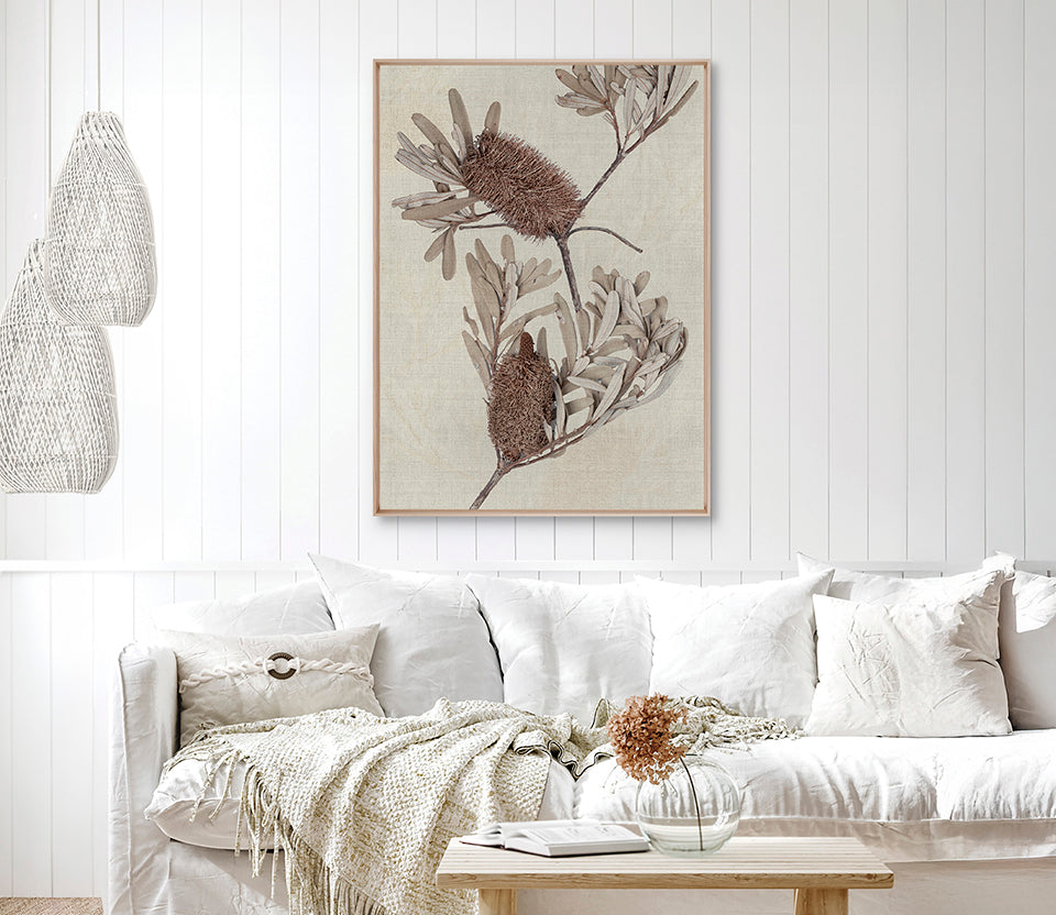 Banksia Study III (Canvas)