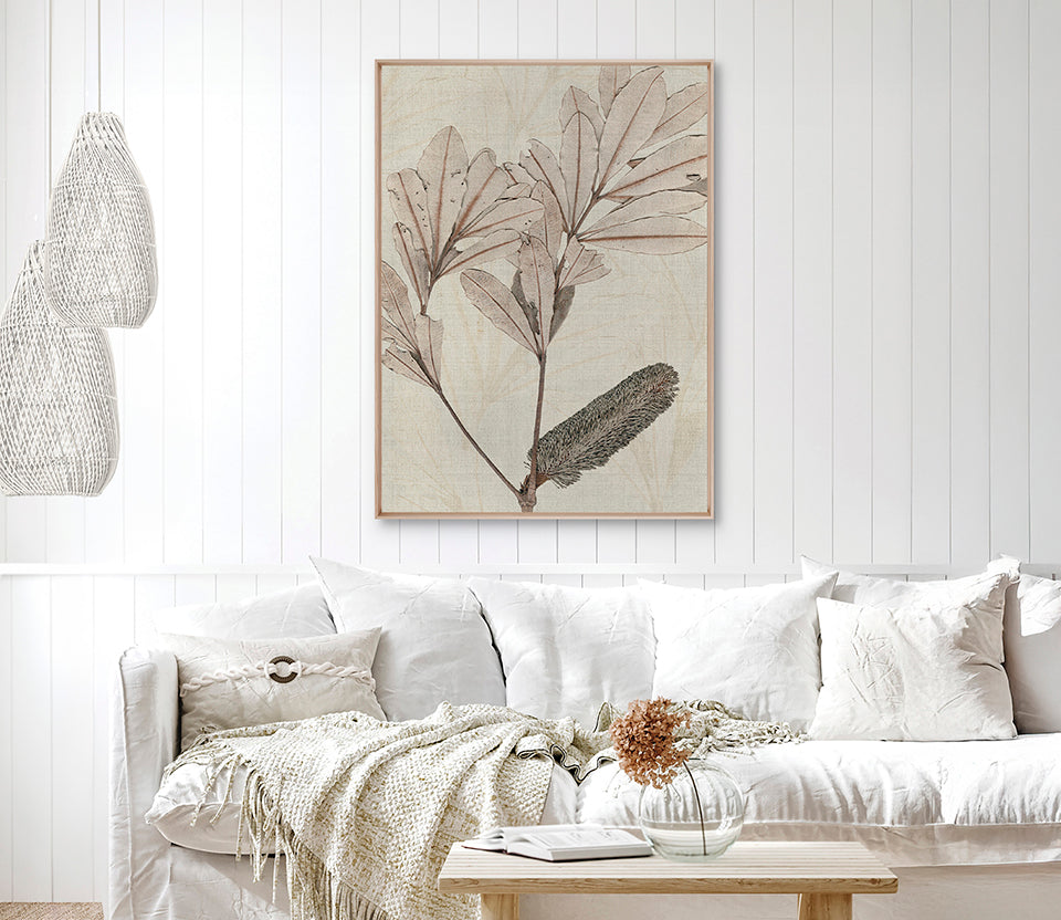 Banksia Study IV (Canvas)