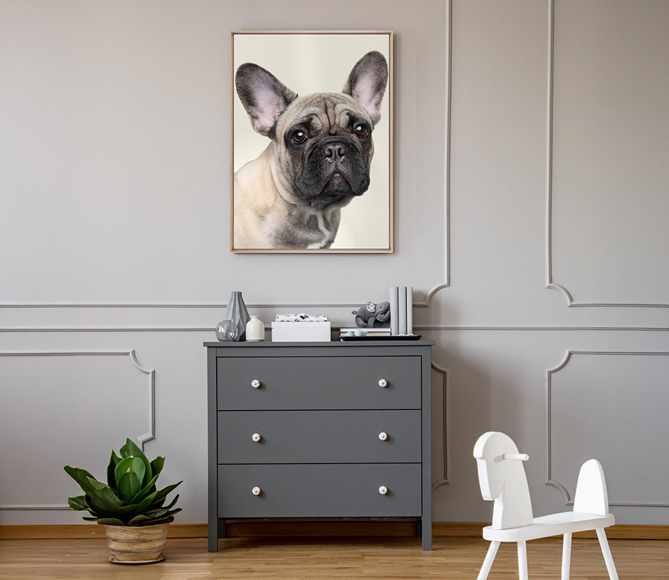 Baxter II (Canvas)