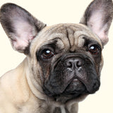 bax02_3