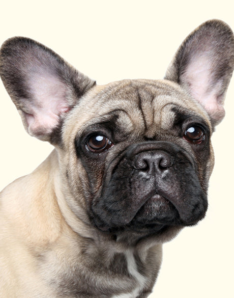 Baxter II
