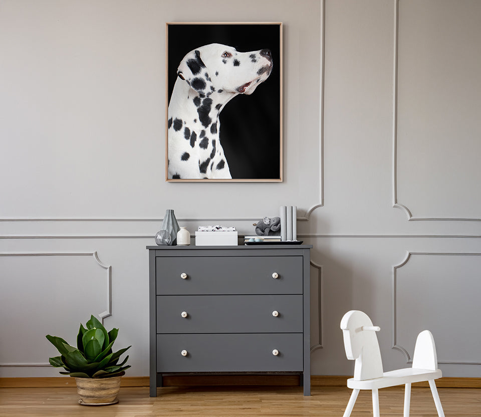 Baxter IV (Canvas)