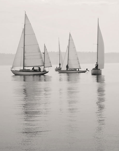 Tranquil Bay I