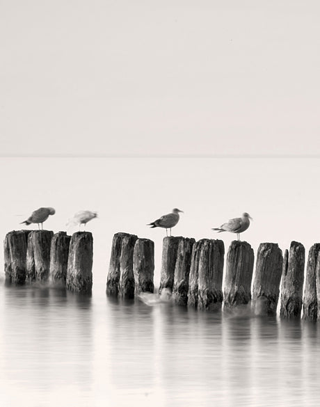 Tranquil Bay IV