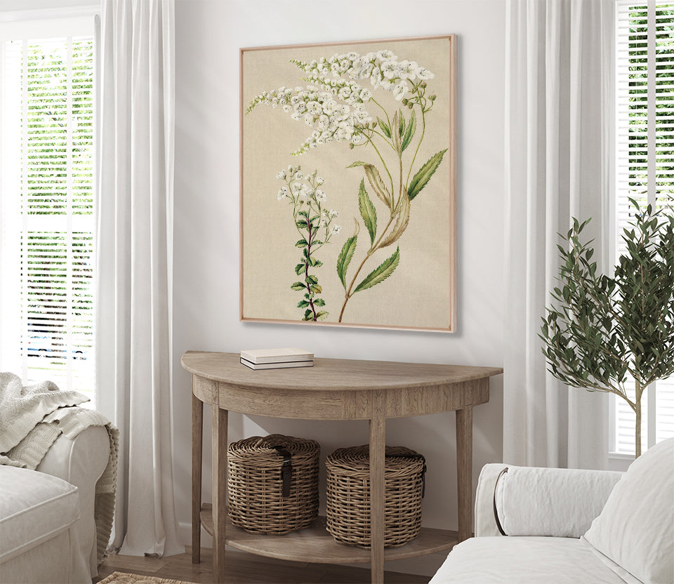 Coastal Native IV (Canvas)