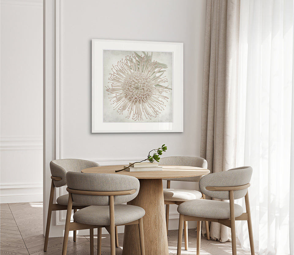 Protea Beauty II