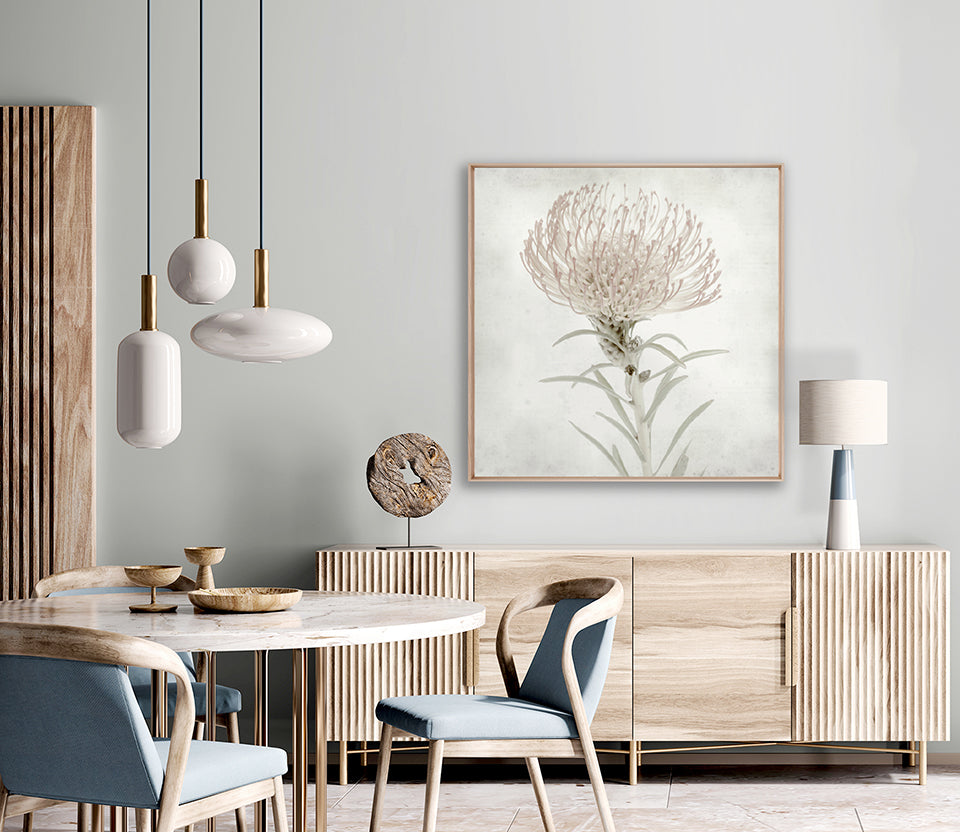 Protea Beauty III (Canvas)