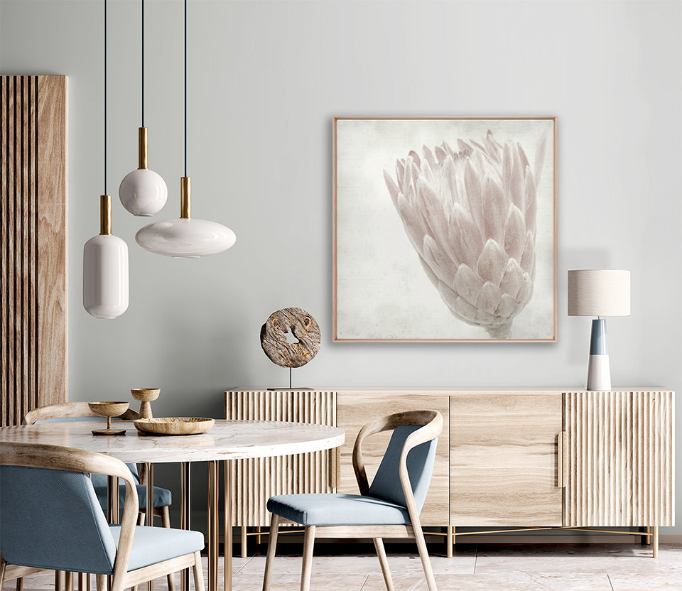 Protea Beauty IV (Canvas)