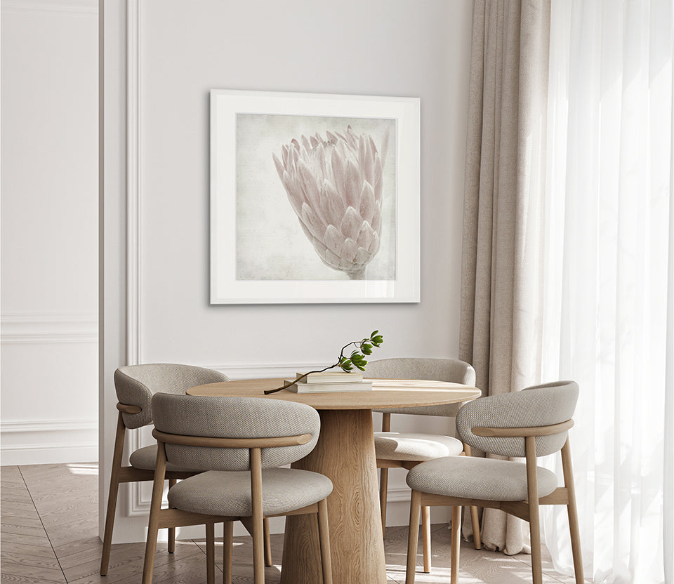 Protea Beauty IV