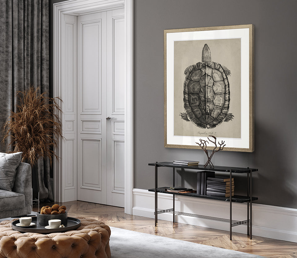 Vintage Turtle Study II
