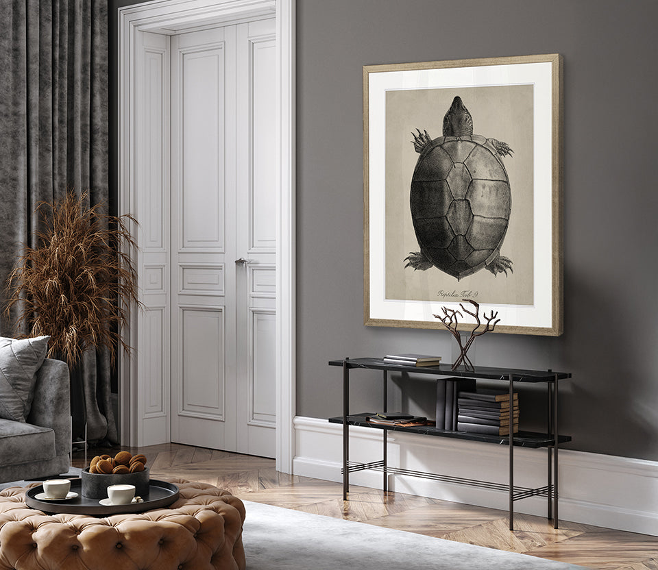 Vintage Turtle Study III