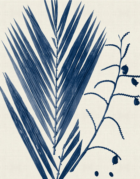 Delicate Frond I (Indigo) (Canvas)