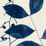 becc02-c_3
