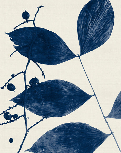 Delicate Frond II (Indigo)