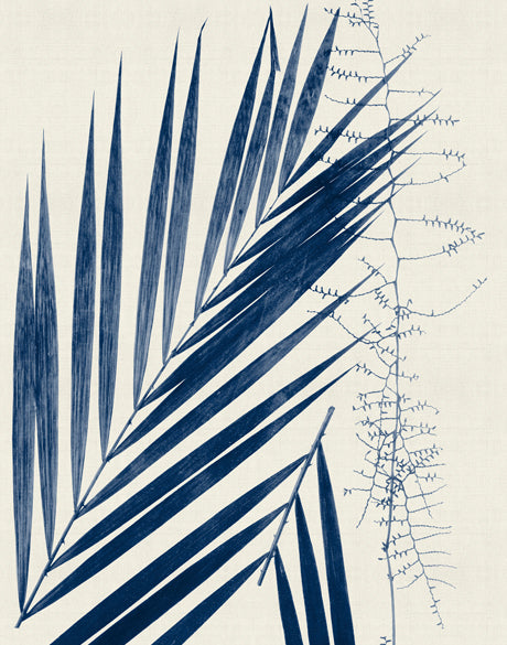 Delicate Frond III (Indigo)