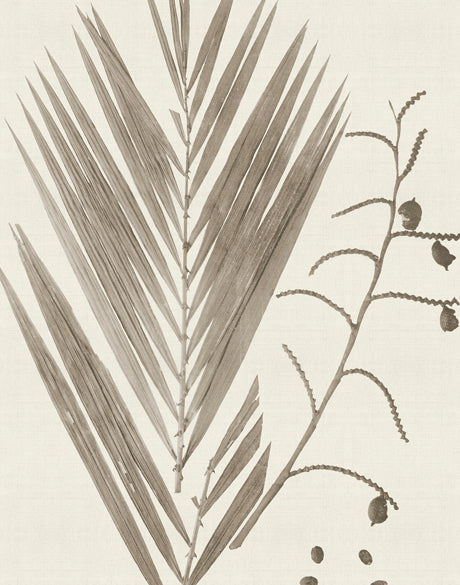 Delicate Frond VII (Taupe)