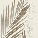 becc09_3