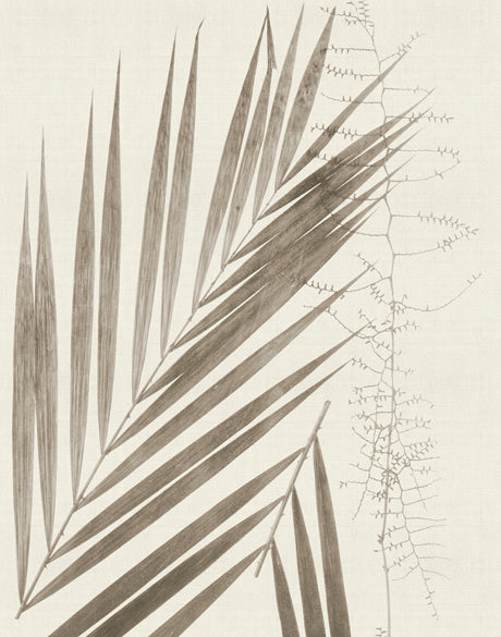 Delicate Frond IX (Taupe)