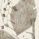 becc10_3