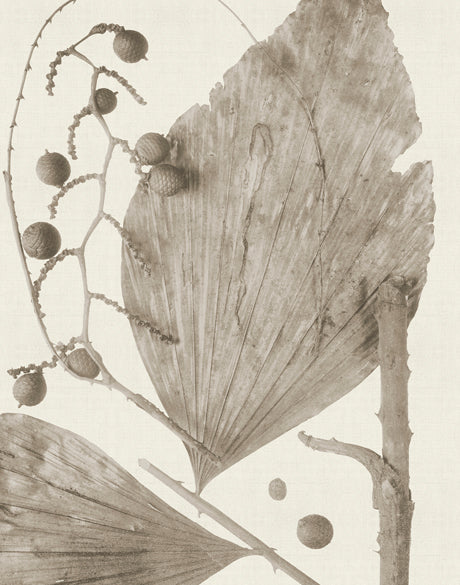 Delicate Frond X (Taupe)