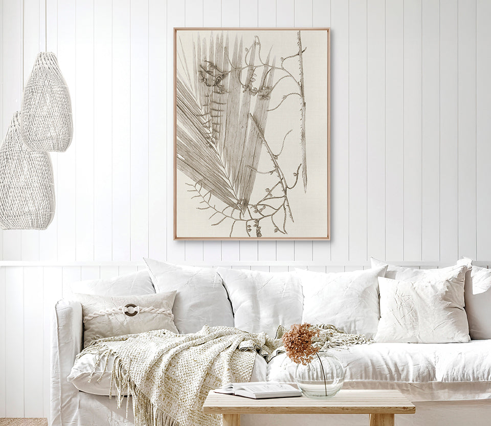 Delicate Frond XI (Taupe) (Canvas)