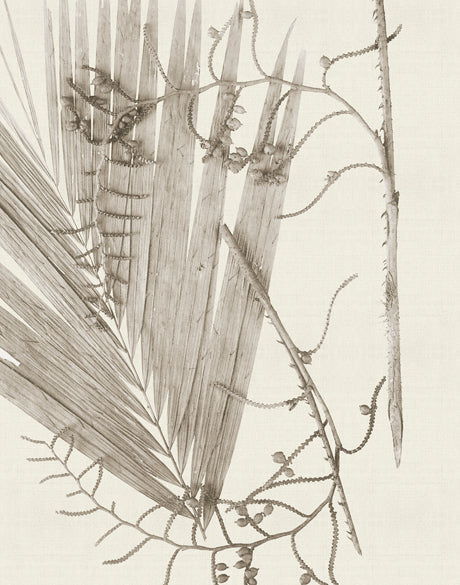 Delicate Frond XI (Taupe)