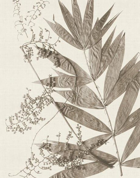 Delicate Frond XII (Taupe)