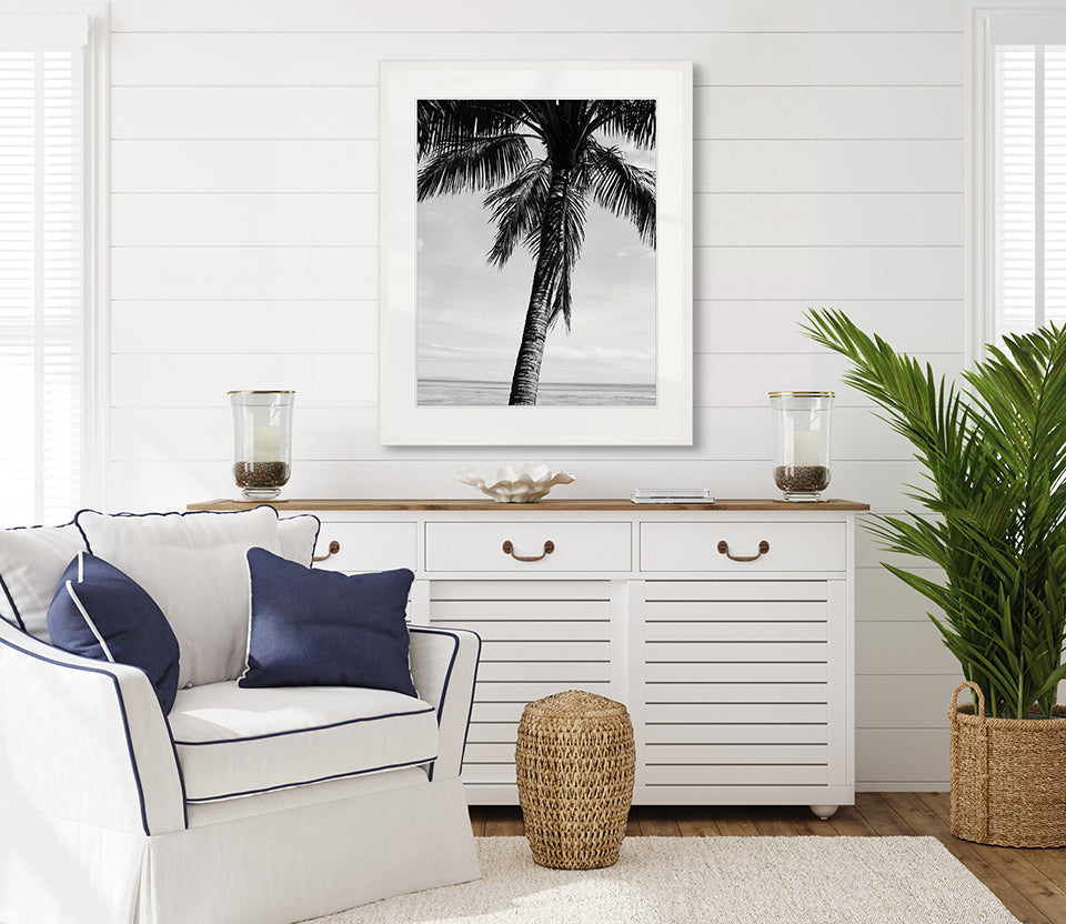 Palm Silhouette II