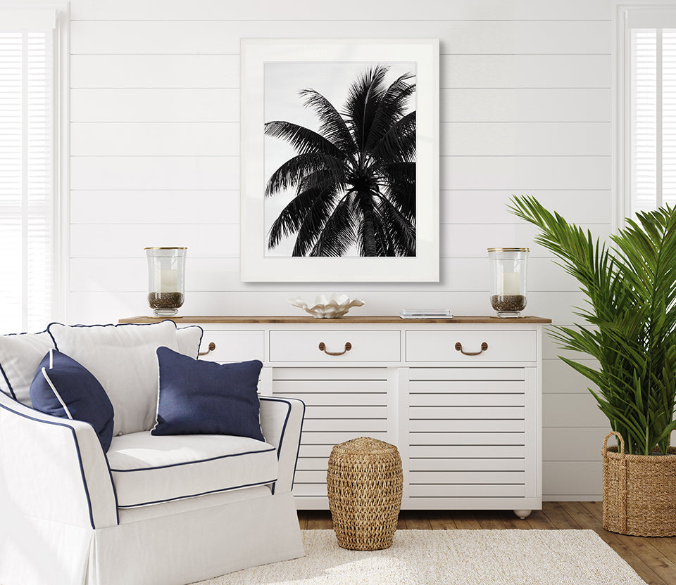 Palm Silhouette V