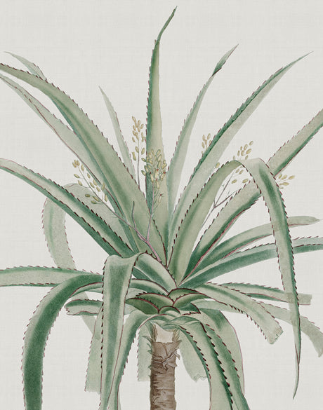 Bellevardi Tropic III (Canvas)