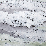 bor01-c_3