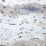 bor03-c_3