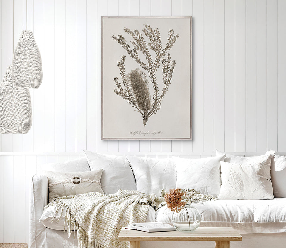 Endeavour Voyage Specimen I (Canvas)